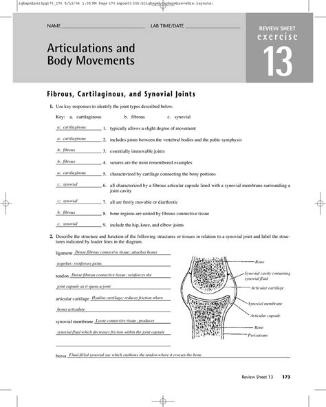 joints and body movement worksheet